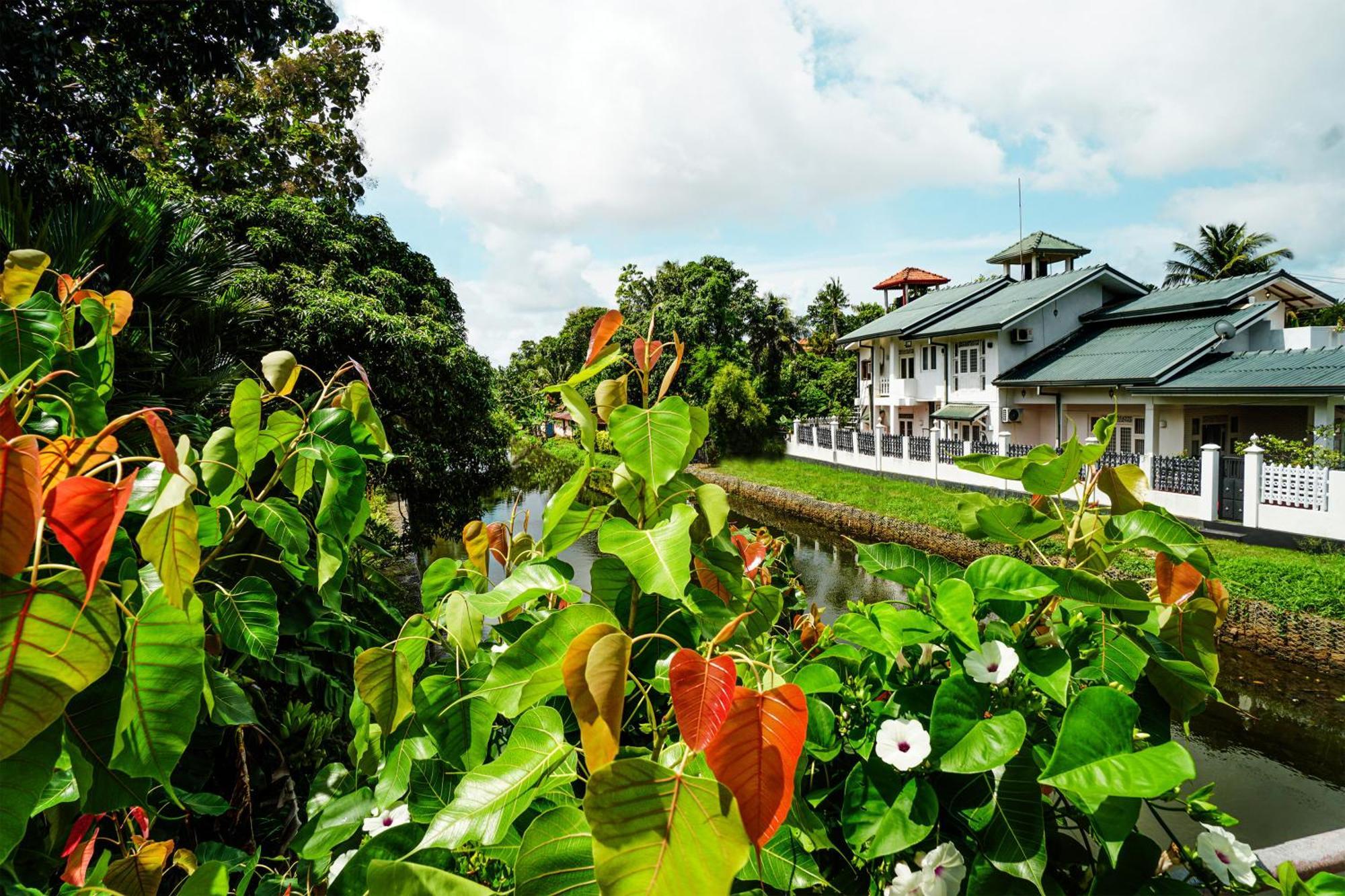 Ayur Ayur White Sail Villa Dalupotha Eksteriør bilde